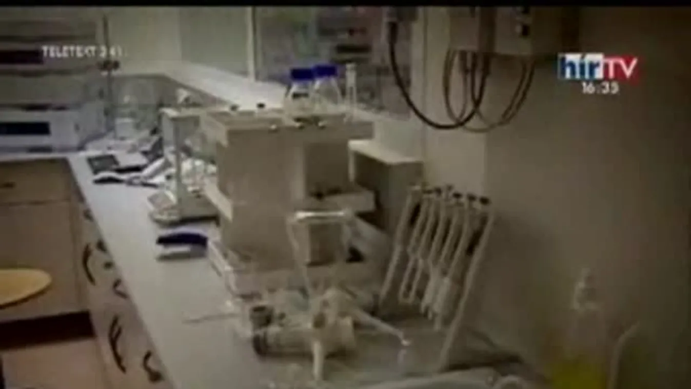 Szív PETCT / A ló, mint gyógyító társ – Gyógyhír