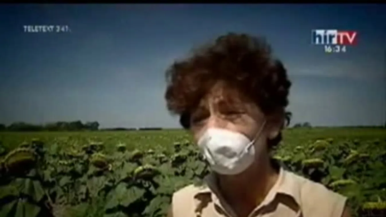 Cyberchondria / Parlagfű-allergia – Gyógyhír