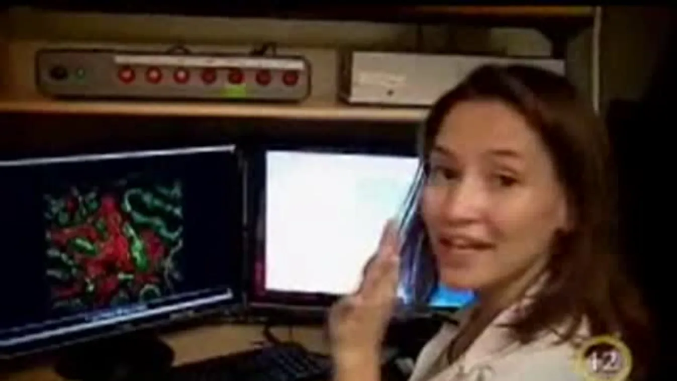 Multifoton-mikroszkóp / A Herbária pályázati lehetőségei – Gyógyhír