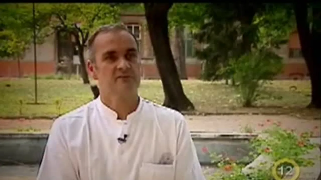 A nyári szmog – Gyógyhír