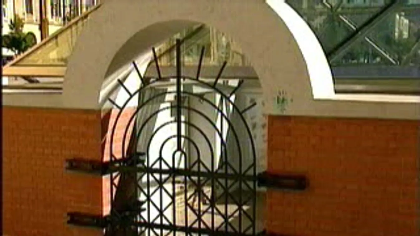 Elfogynak a szakemberek – Keresztmetszet