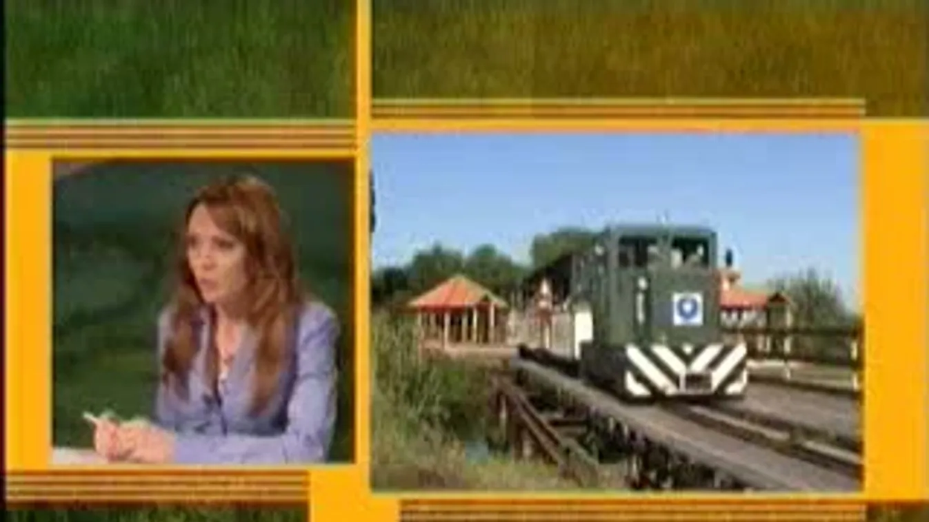 Kisvasút, daruvonulás, Hortobágy - Zöld övezet