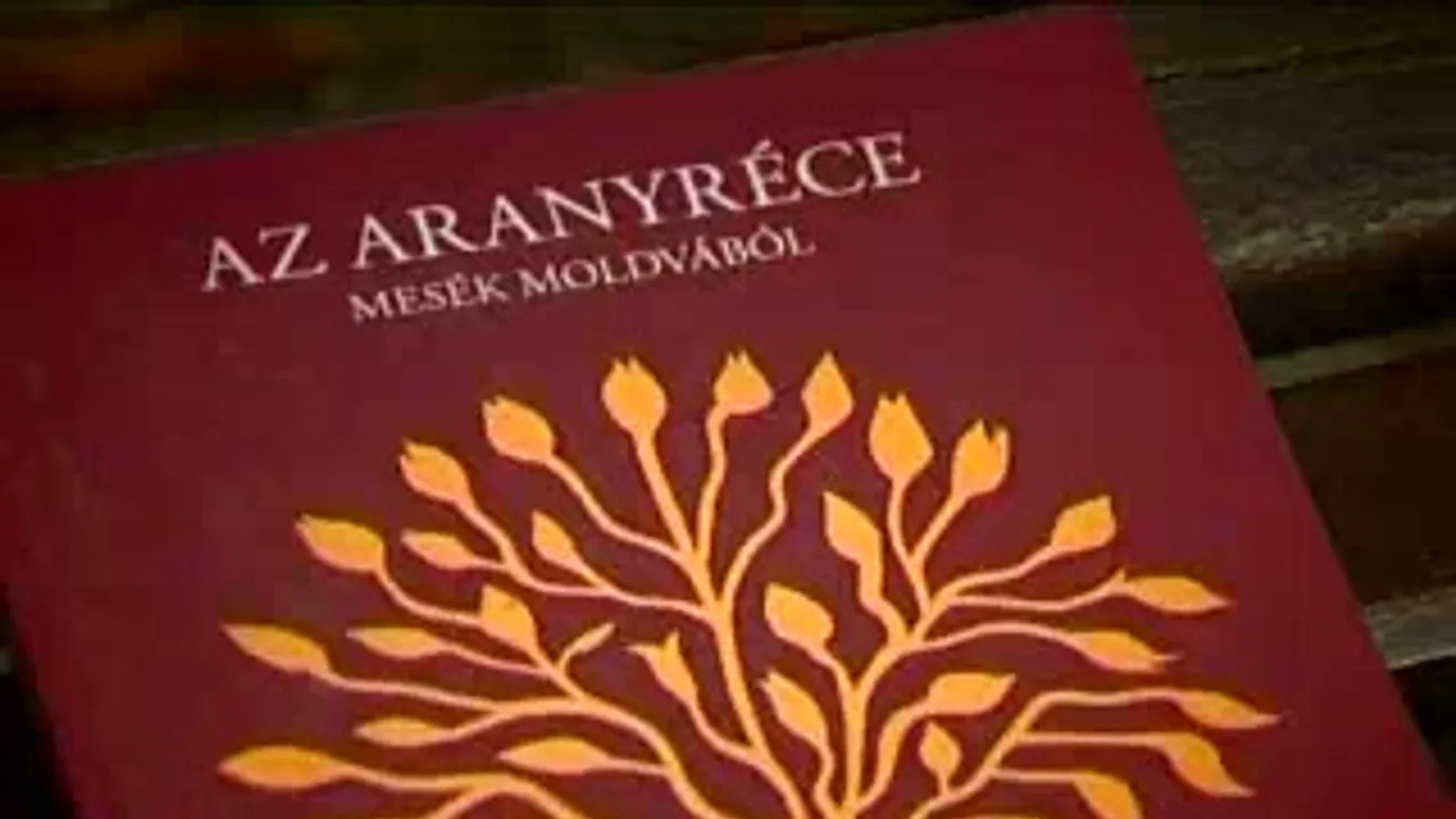 Iancu Laura – Ikon