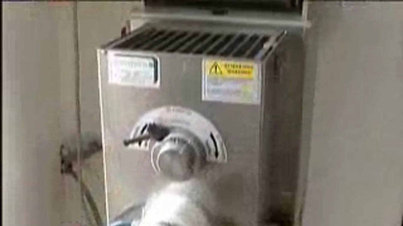 Bio száraztészta – Soroló