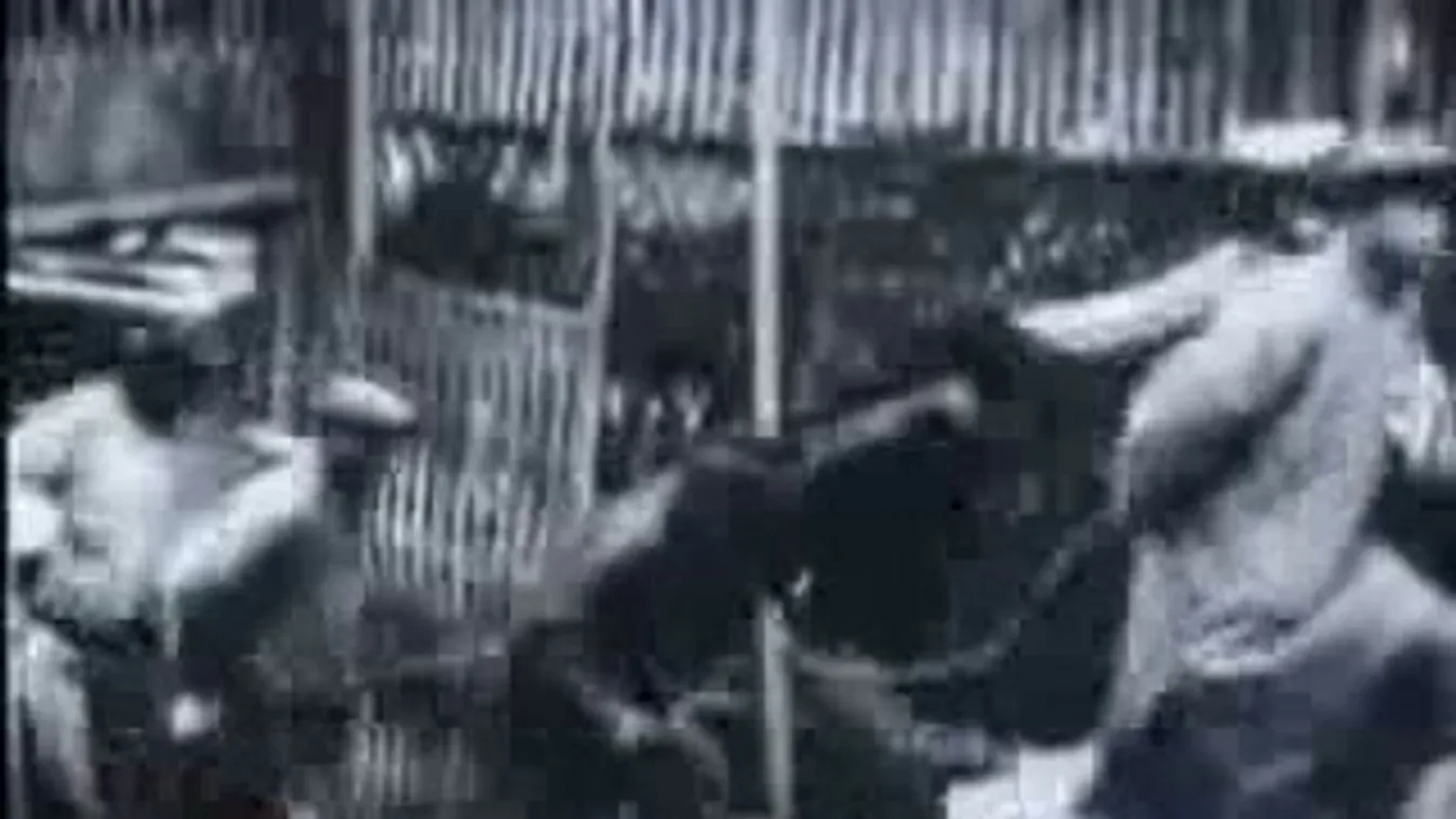 Felhőkarcoló a falu közepén – Ázsia