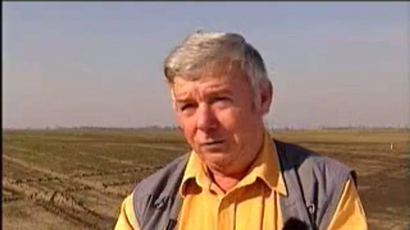 Hiányszakma – Keresztmetszet