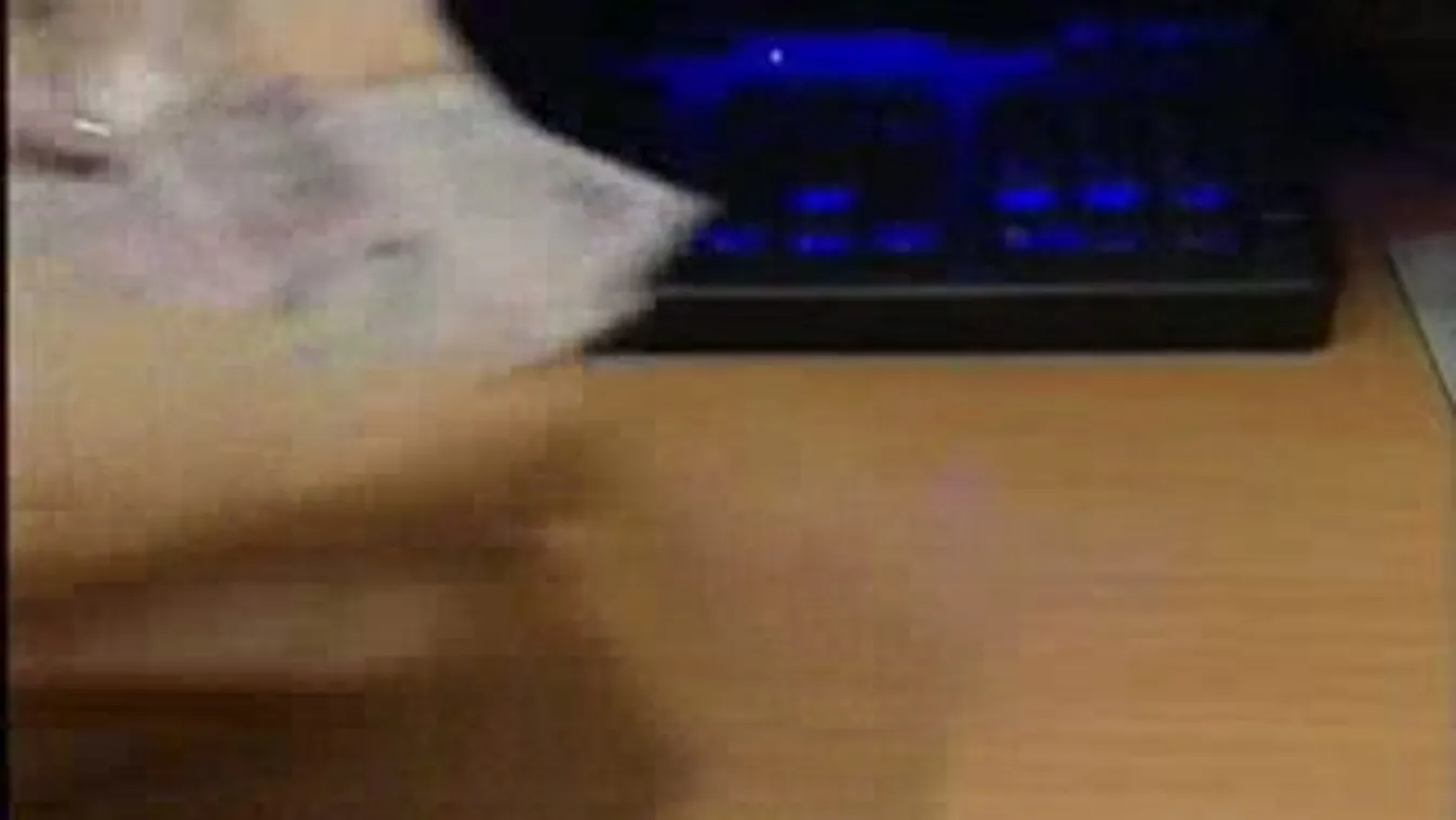 Híradó 12 óra - 2011. 11. 30.