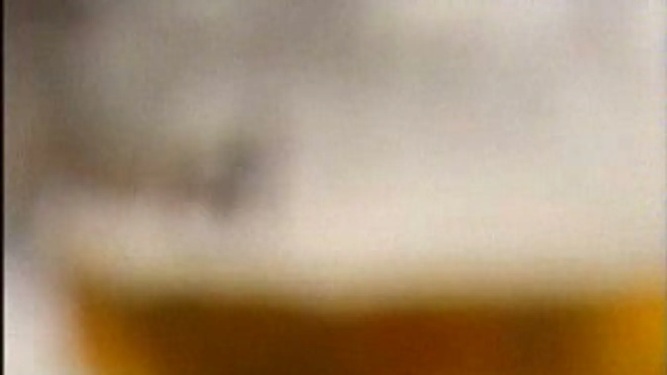 Híradó 12 óra - 2011. 11. 26.