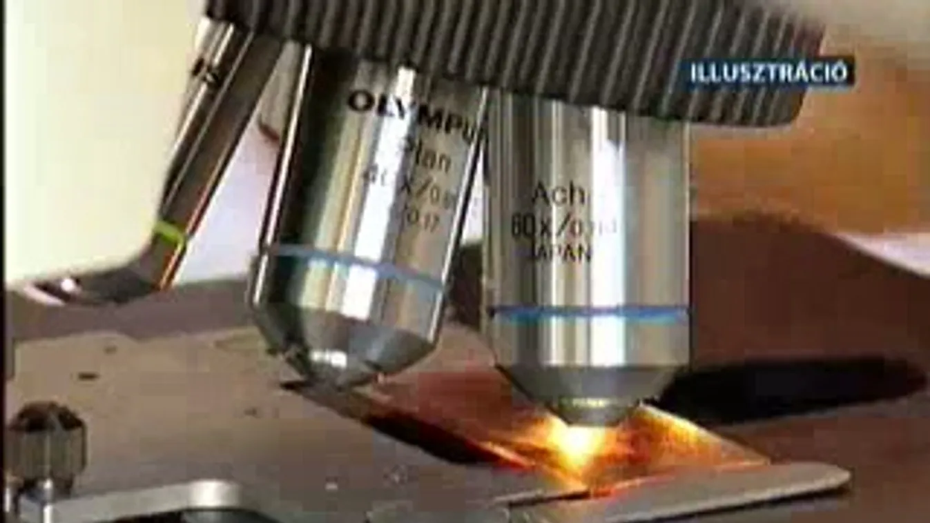 Híradó 12 óra - 2011. 11. 14.