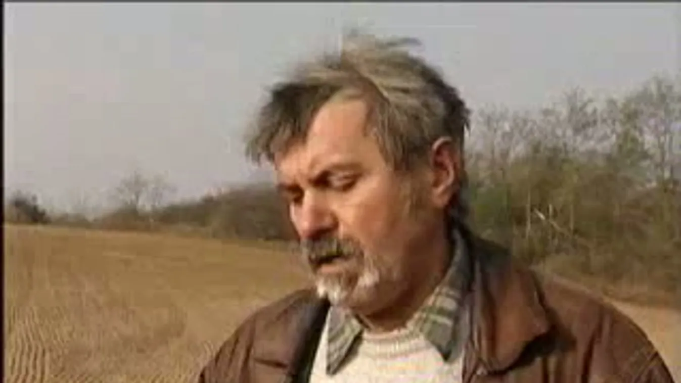 Rég zöldellnie kellene – Soroló