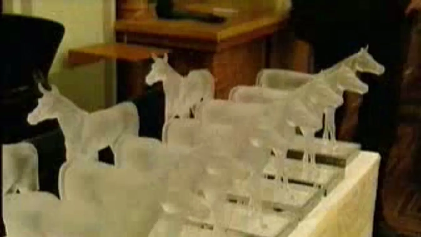 Átadták a Junior Prima Díjat a magyar tudomány kategóriában