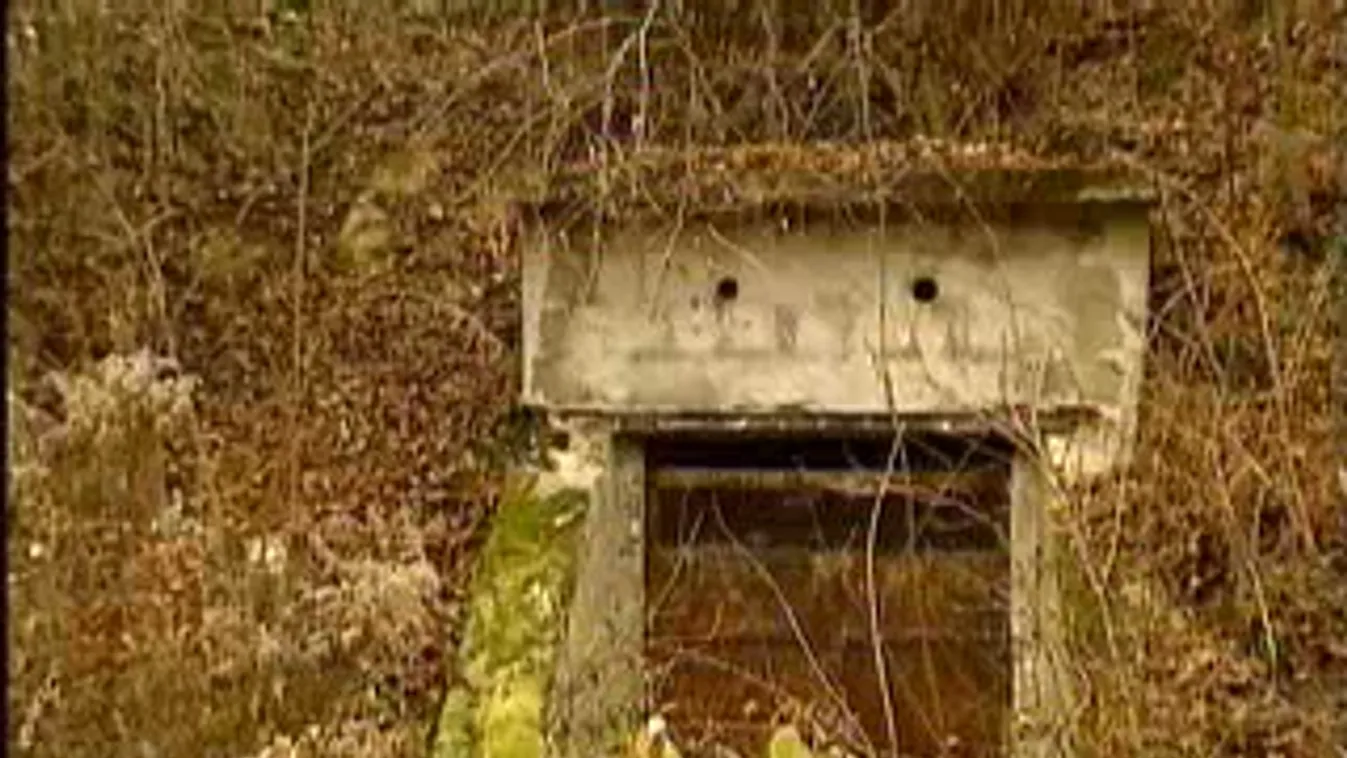 Türelmetlen megbízók, elalvó sofőrök – Keresztmetszet