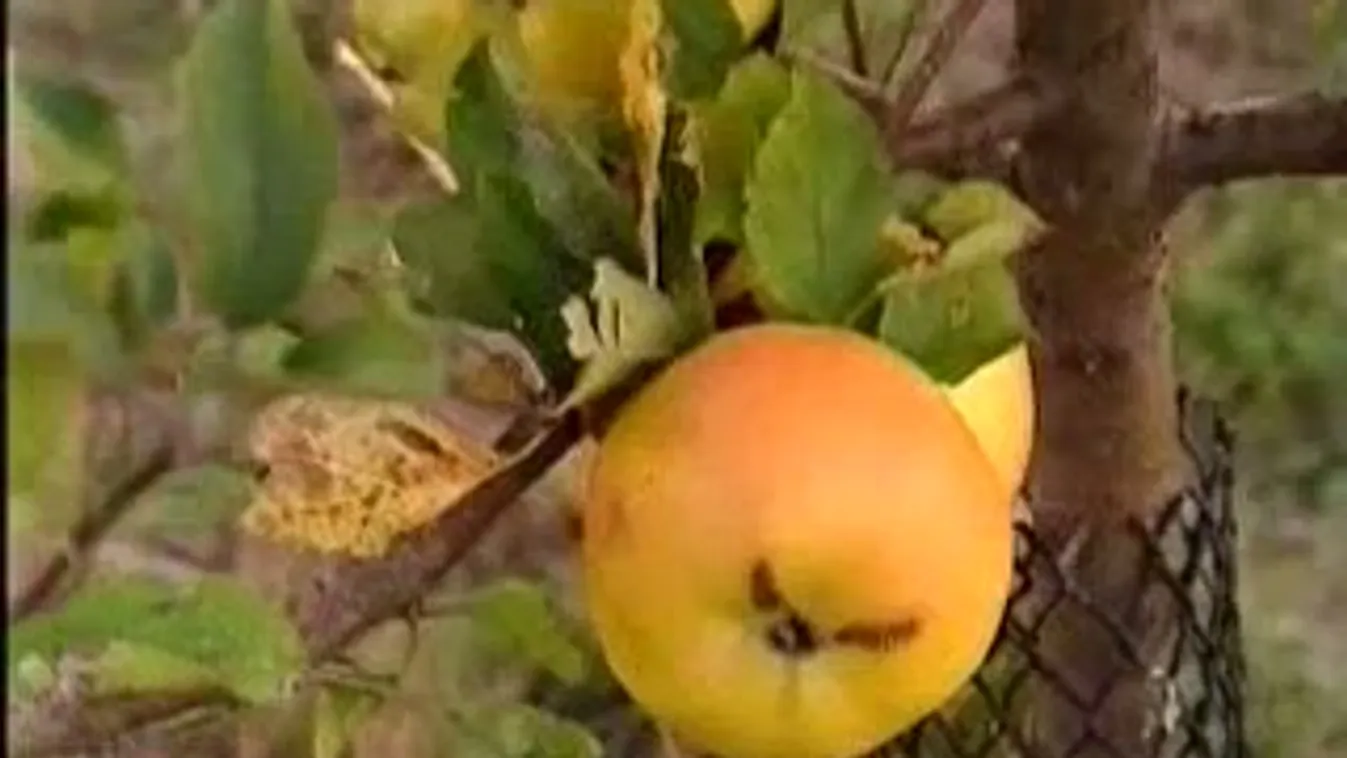 Újabb termékeket sújthatnak adóval