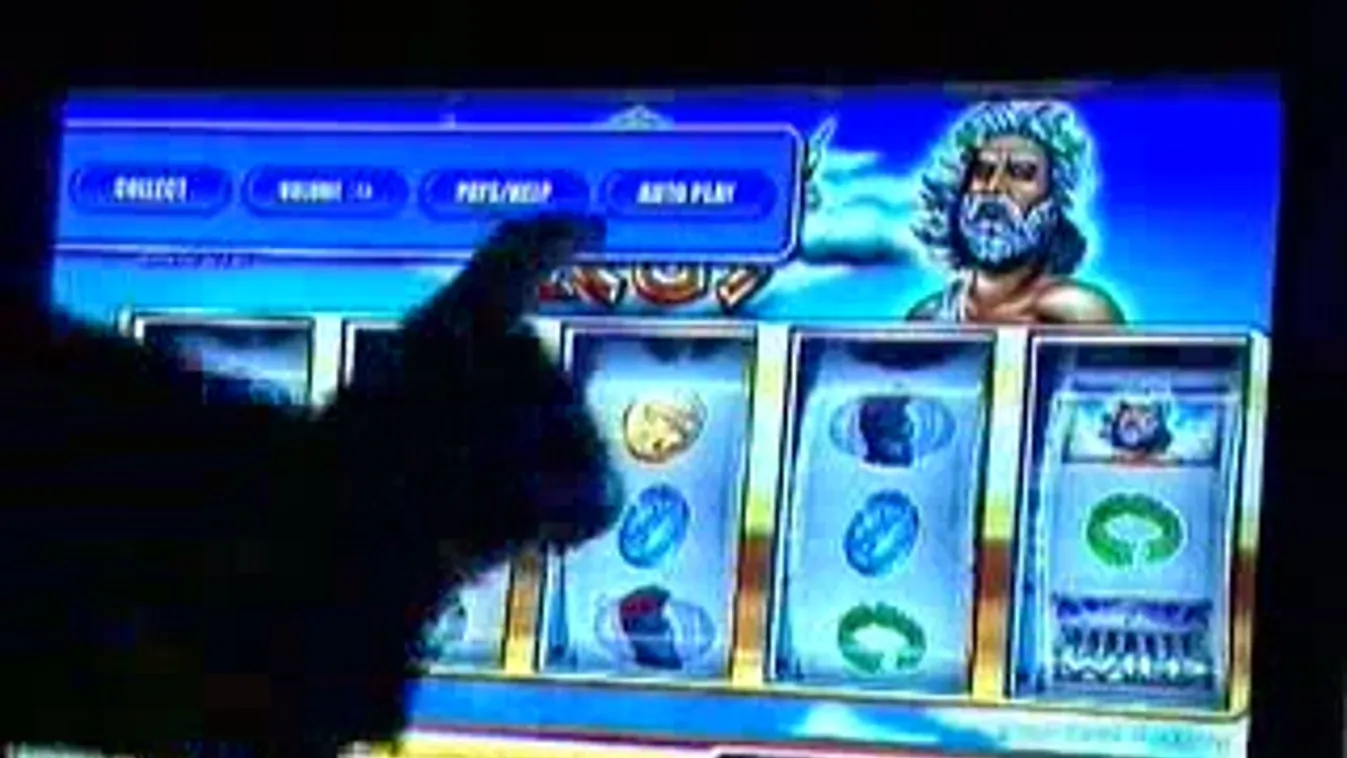 Szerencsejáték-adó – Bruttó