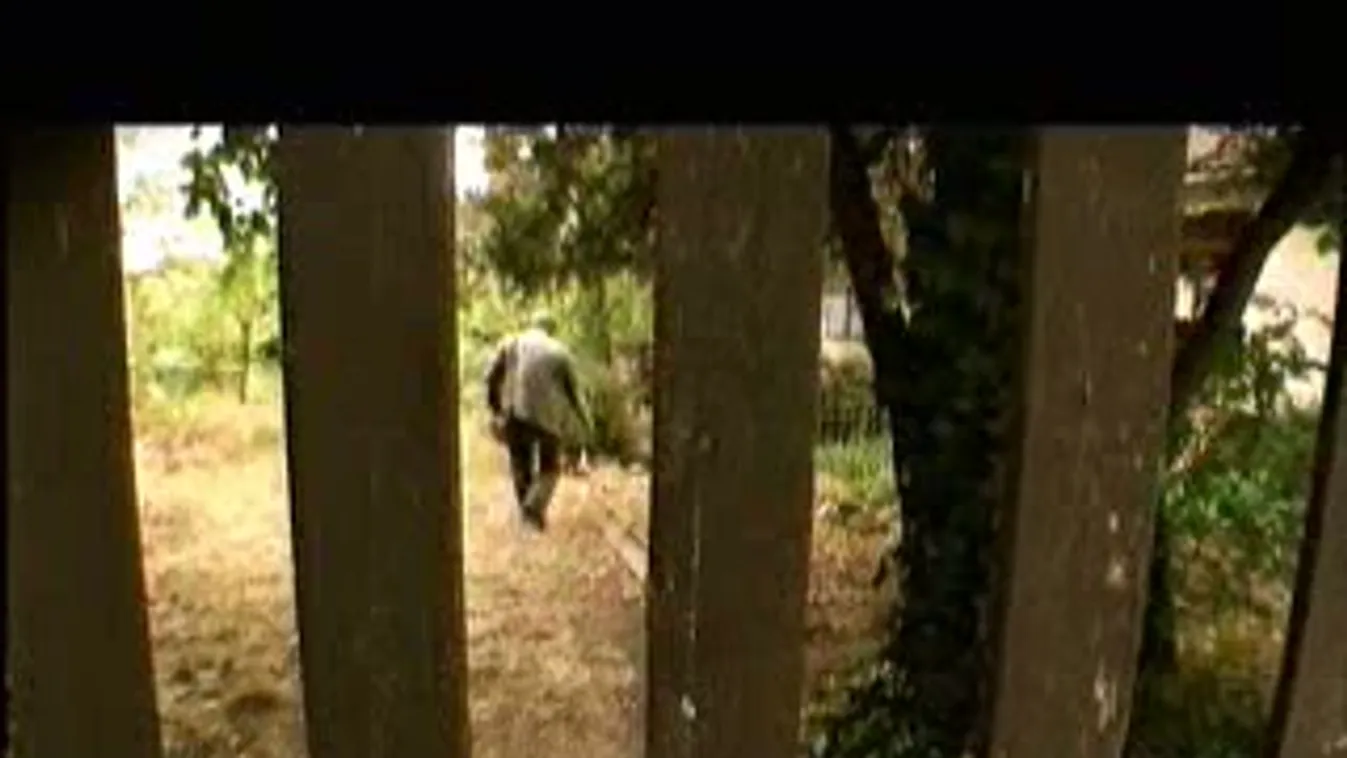 Buda Ferenc – Ikon