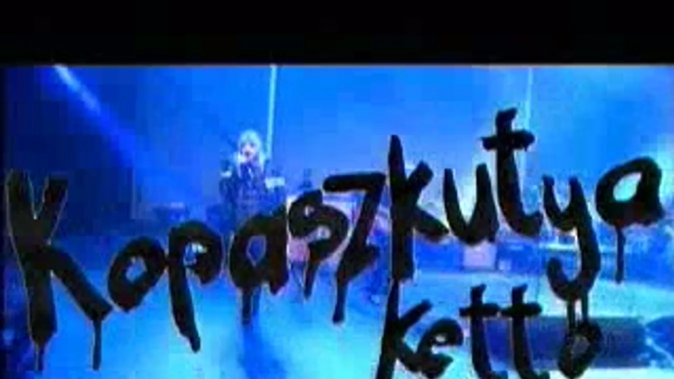 Kopaszkutya 2 – Paletta