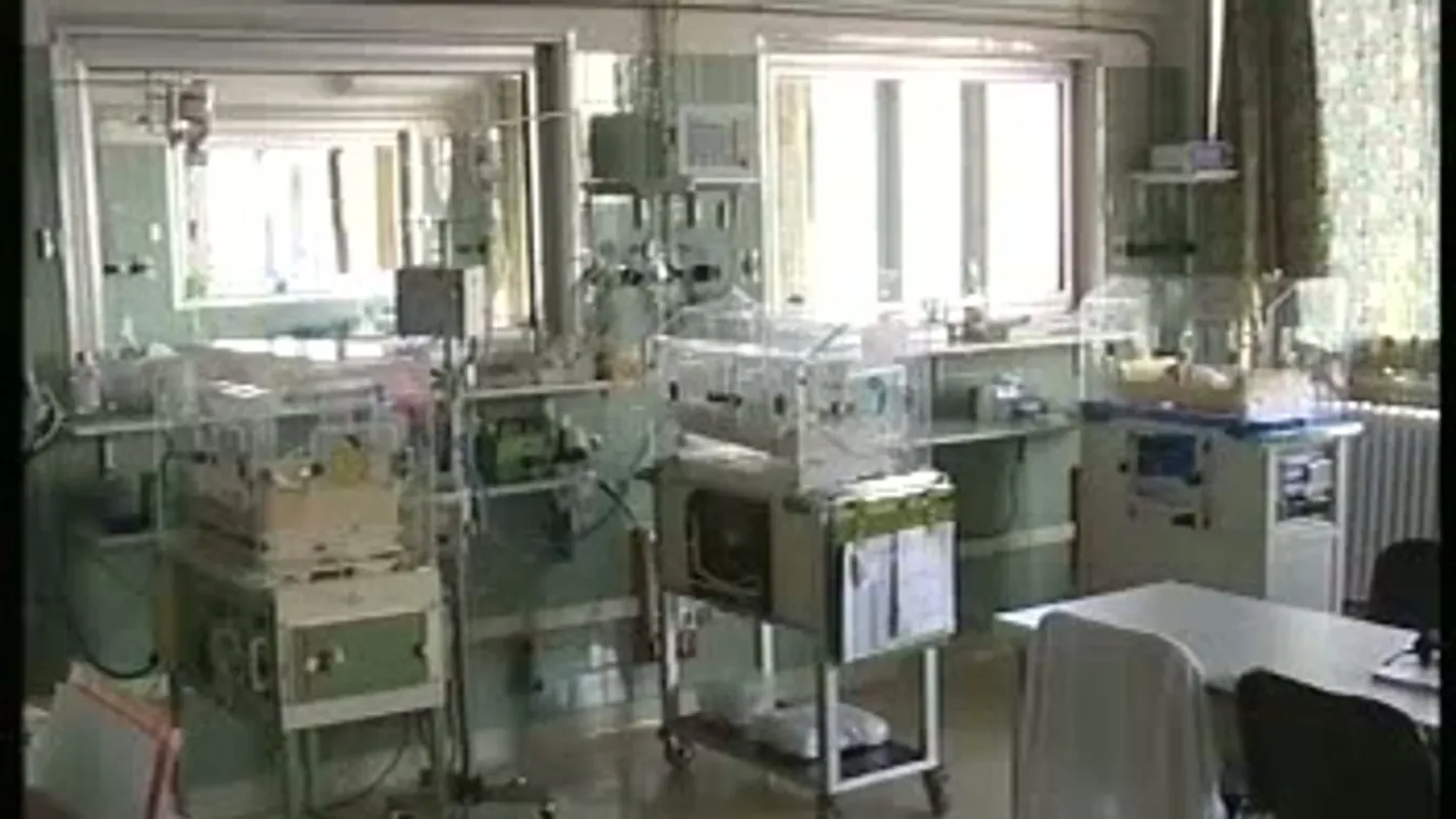 Egymilliót gyűjtöttek a Fehér Miklós-emlékgálán