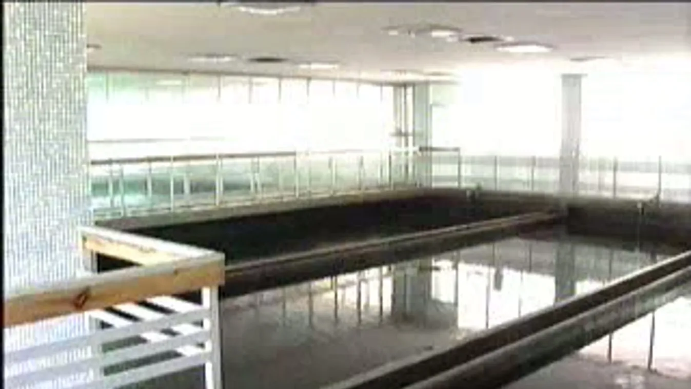 Híradó 17 óra - 2011. 12. 10.