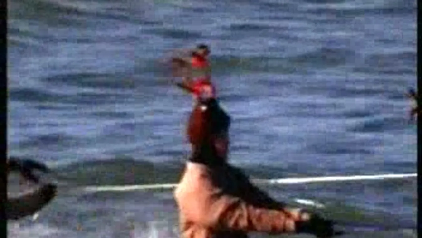 Híradó 12 óra - 2011. 12. 25.