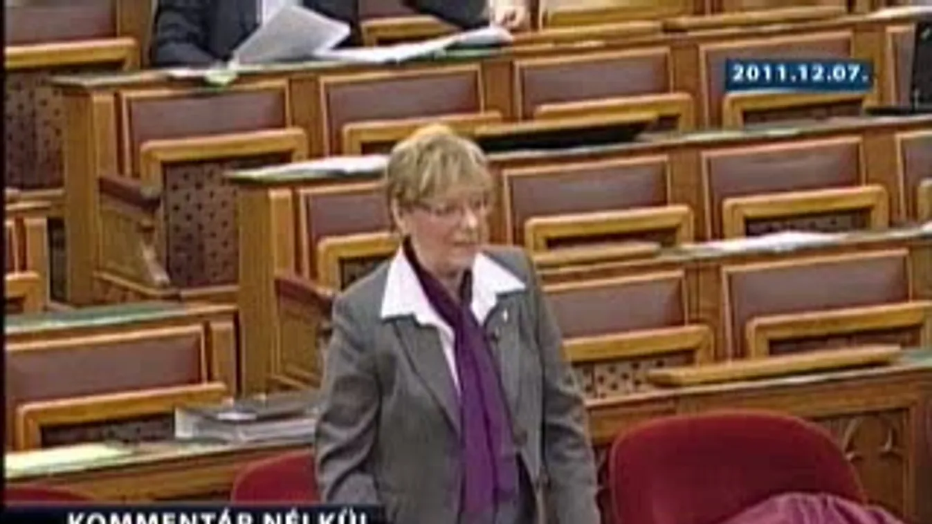 Hoffmann a finanszirozásról finanszírozásról – Kommentár nélkül