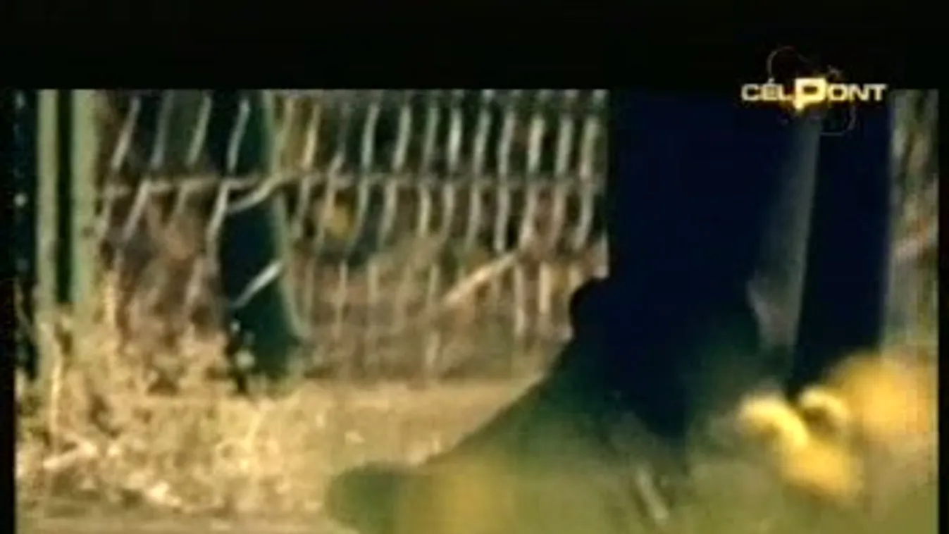 Célpontban a célpontosok – Célpont