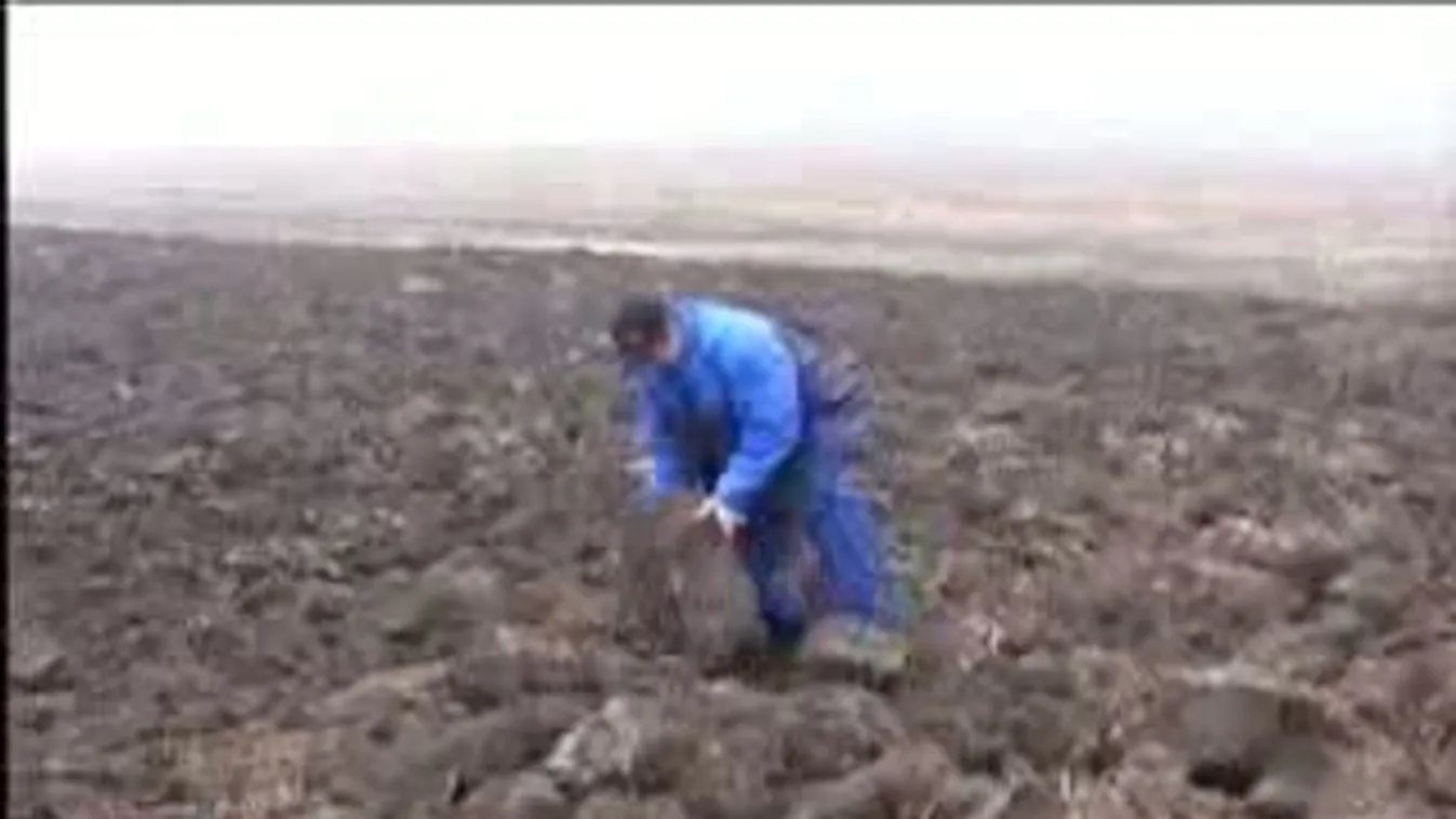 20 éve nem volt ilyen invázió