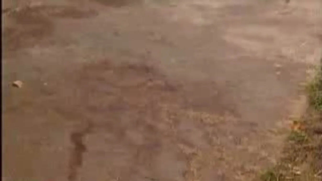 Brutális gyilkosság - félni kell a XXII. kerületben?