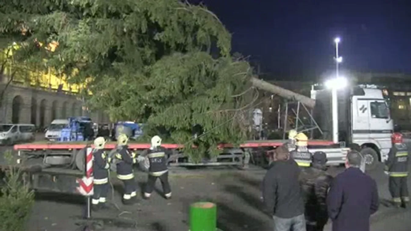 Az ország karácsonyfája