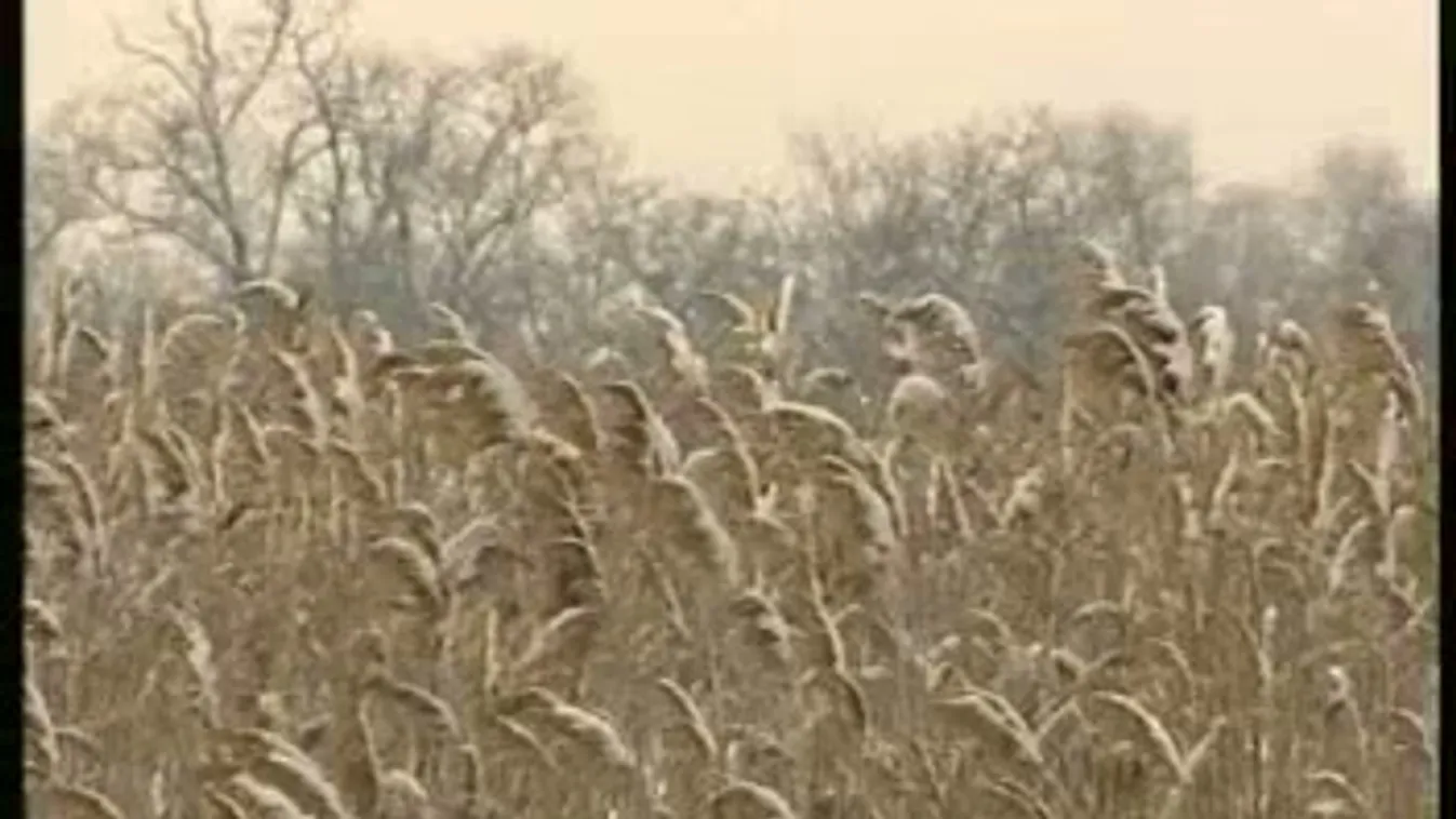 A borászatokat is igazítani kell a jelen elvárásaihoz – Soroló