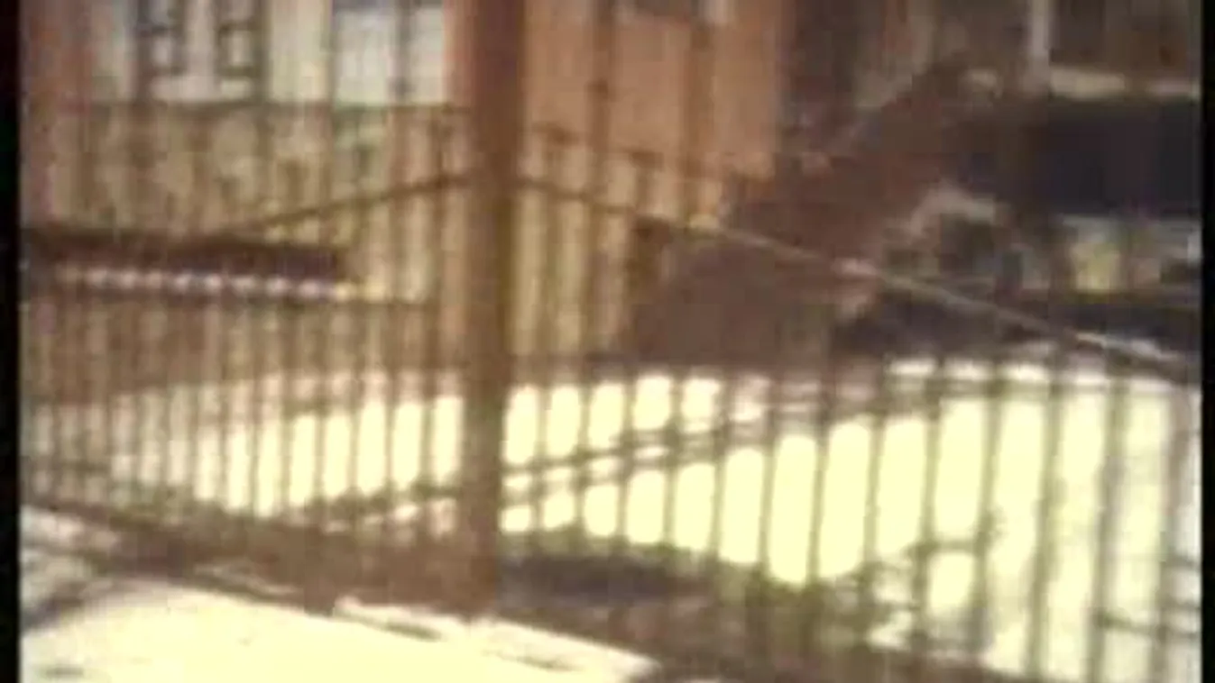 Ezobiznisz – Panaszkönyv