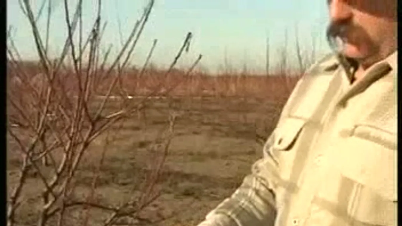 Komolyabb téltámadás érheti Magyarországot