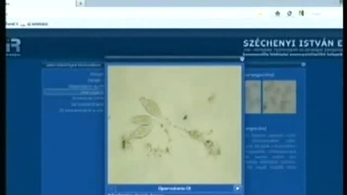 Világraszóló magyar találmány – Rájátszás