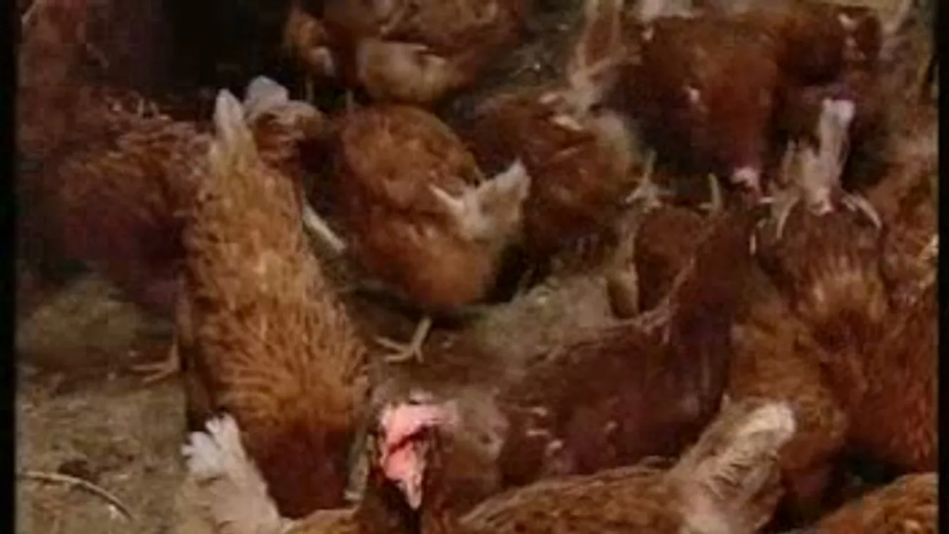 Az államtitkár a Hír TV kamerája előtt – Soroló