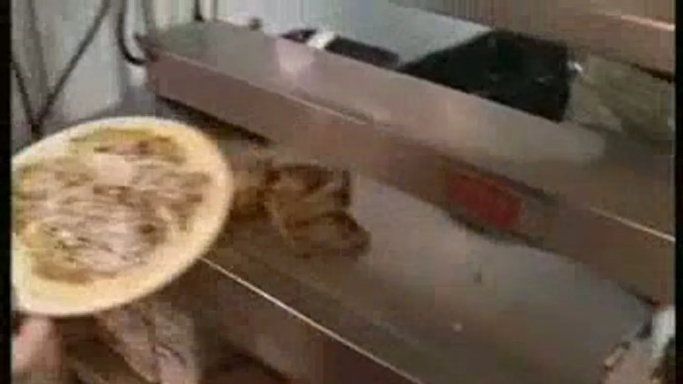 Egyre több hitelt mernek felvenni