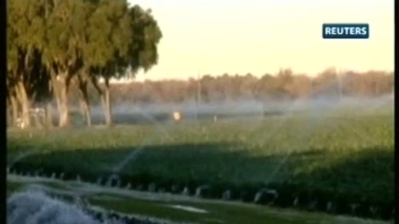 Hidegfront Floridában – Kommentár nélkül