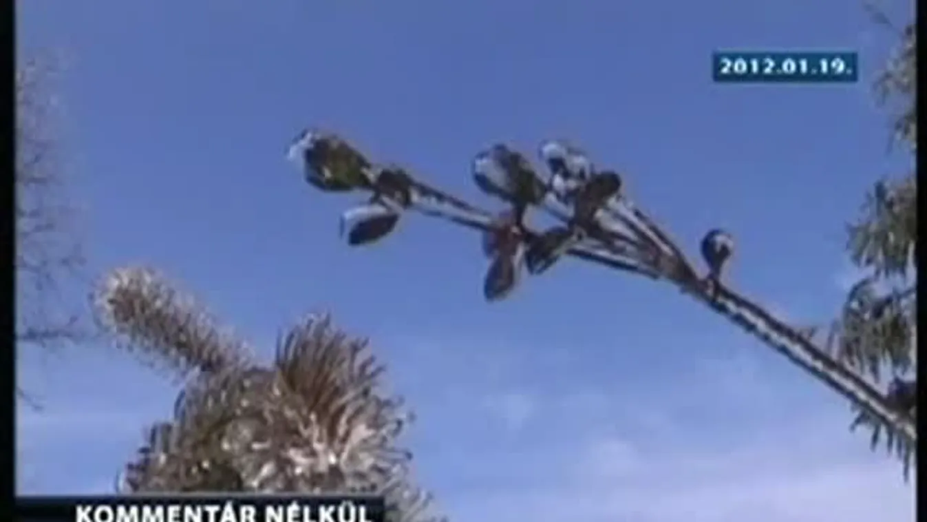 Tél Kínában – Kommentár nélkül