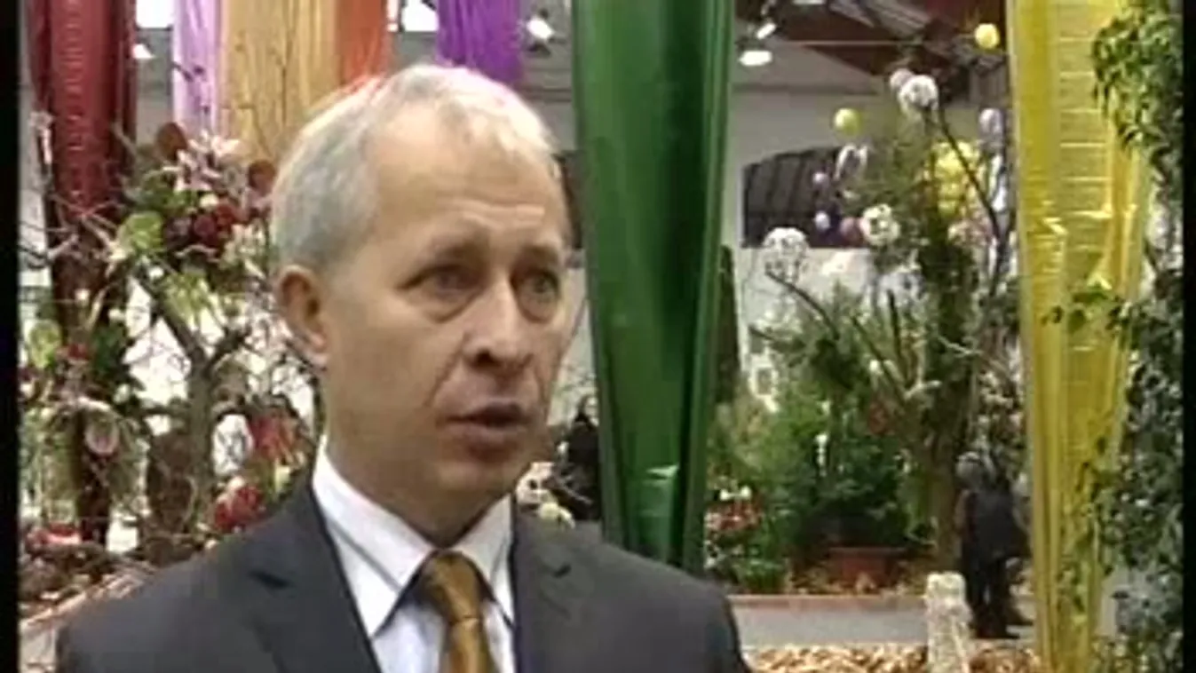 Invázió – Soroló