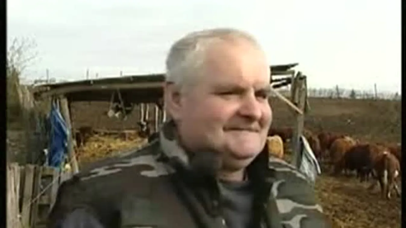 Rendhagyó sajtótájékoztató – Soroló