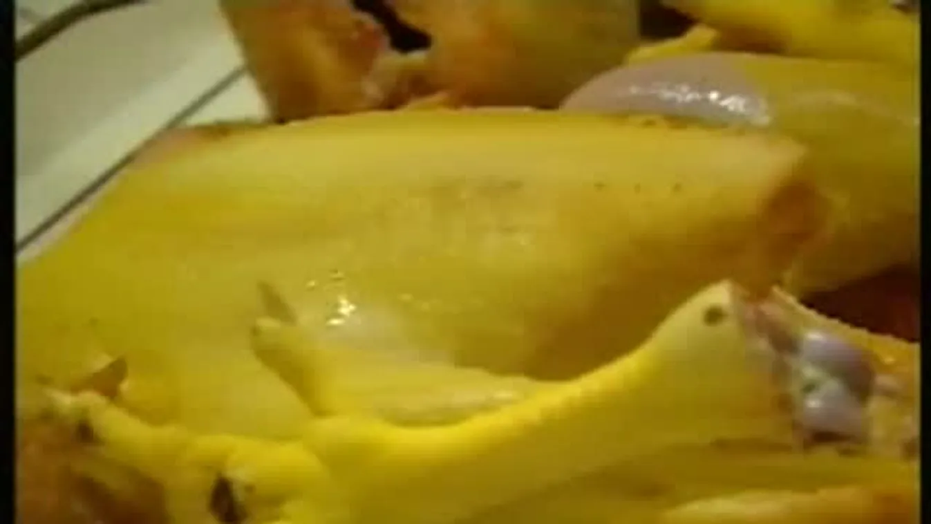 Tanyavilág? – Panaszkönyv