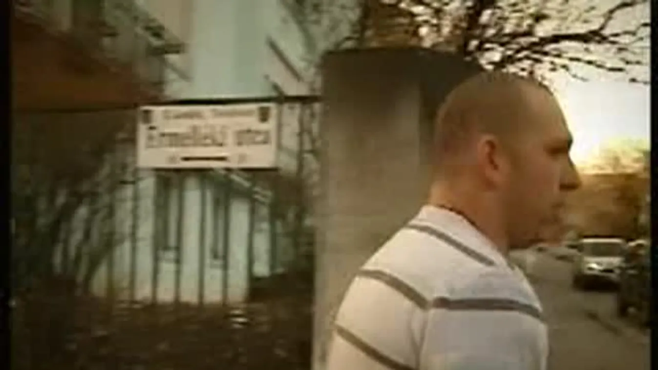 Pulyka és teszt – Panaszkönyv