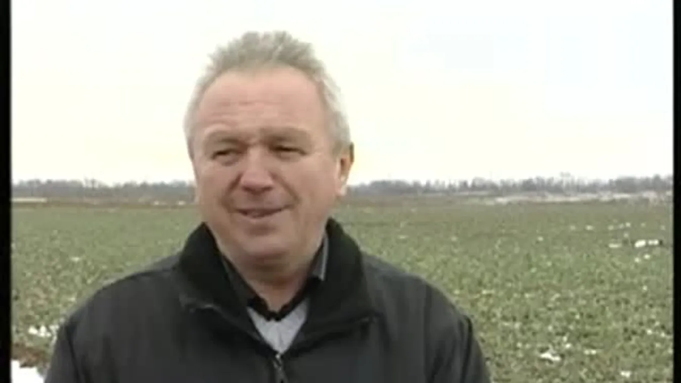 Kemény fagyok – Soroló