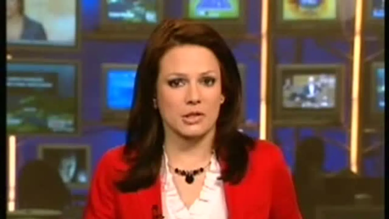 Felépített stratégia mentén vitték csődbe a Malévot?