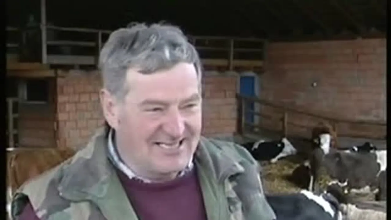 Nem egészen egyértelmű számlát állított ki – Soroló