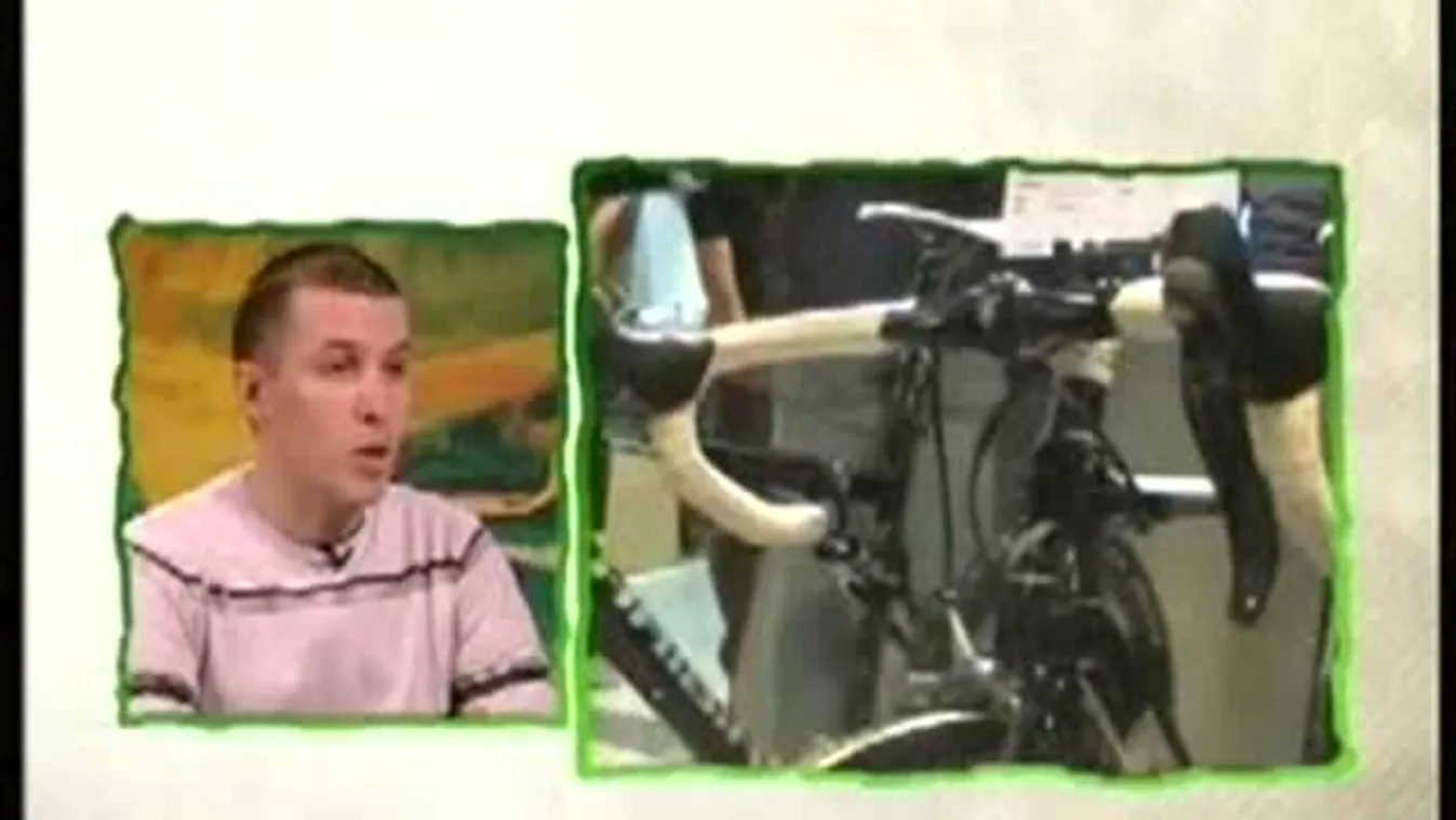 Bringaexpo 2012 – Paletta