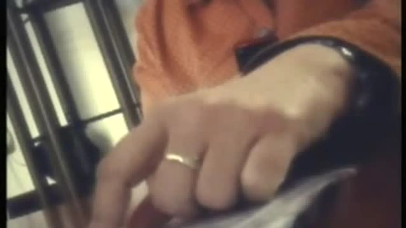 A füstbe ment utazás – Panaszkönyv