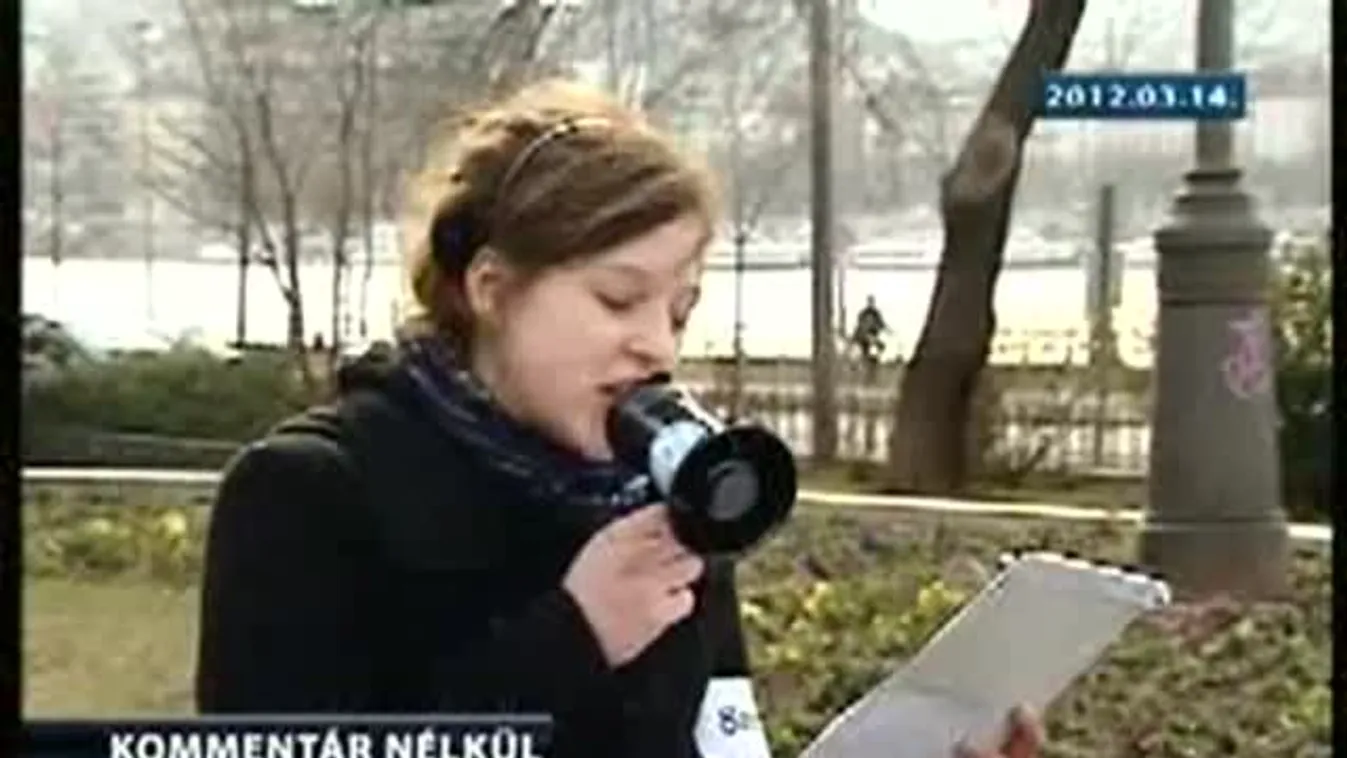 Első szabad hallgatói piknik – Kommentár nélkül