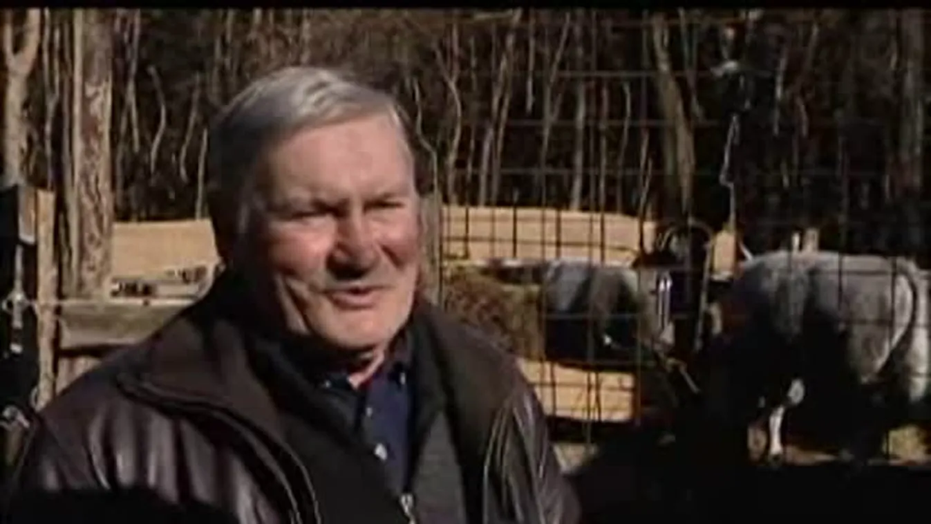 A kamerába is belepillantott Matyi – Soroló