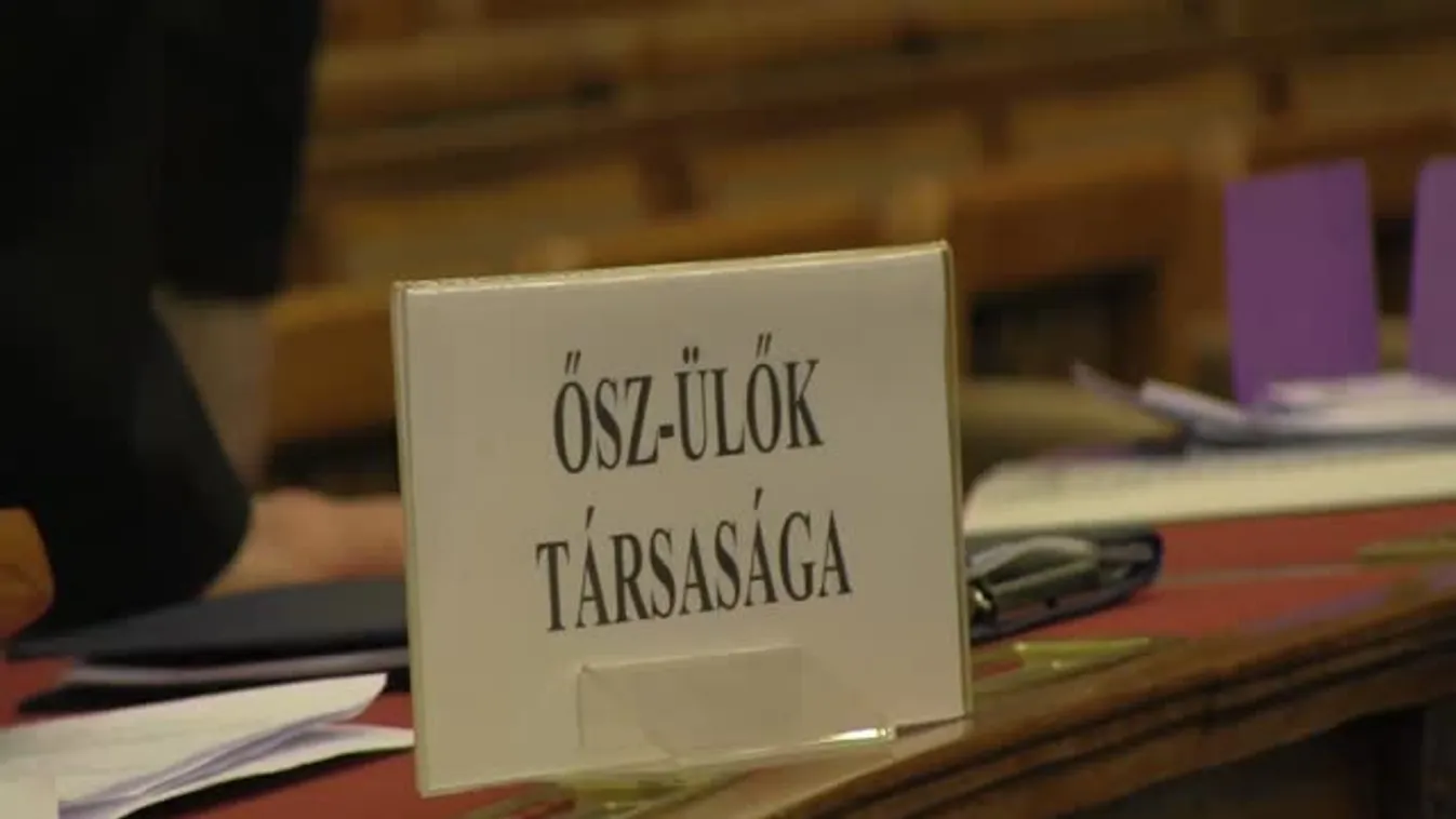 Elfoglalta a Parlamentet az ifjúság