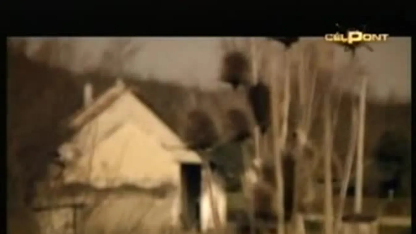 Felzárkóztató – Célpont