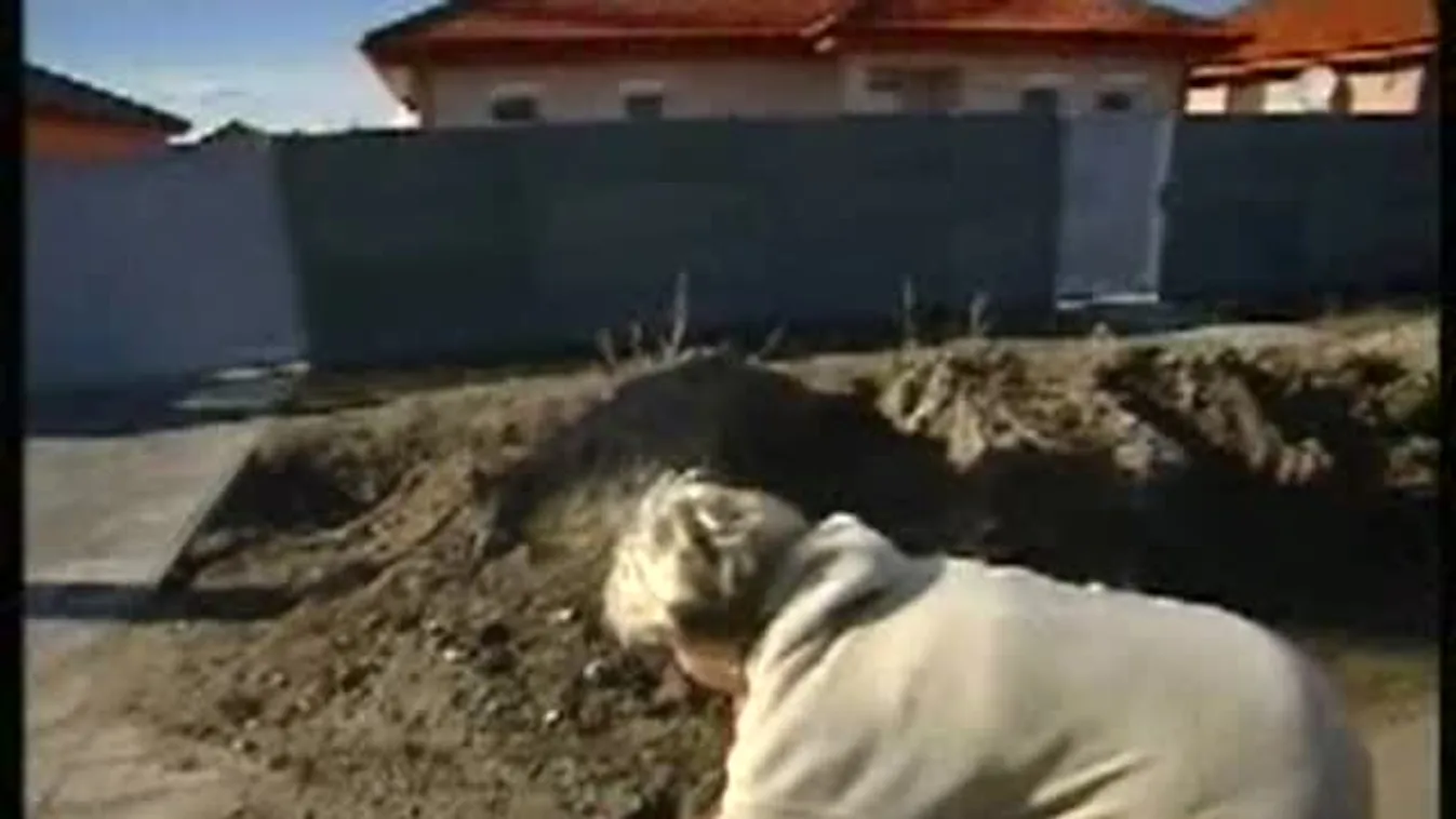 Egyharmadnyian – Keresztmetszet